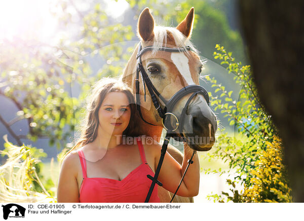 Frau und Haflinger / woman and Haflinger horse / CDE-01905