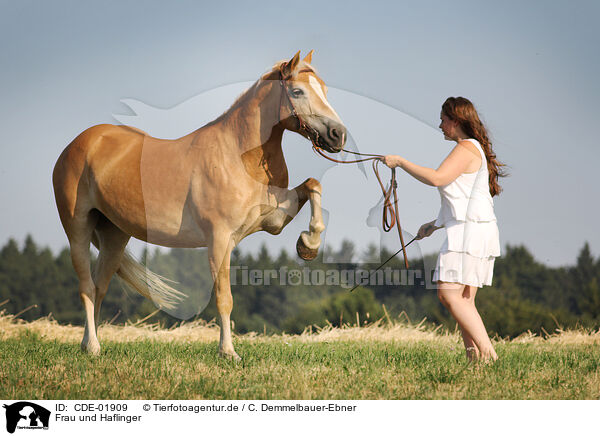 Frau und Haflinger / woman and Haflinger horse / CDE-01909
