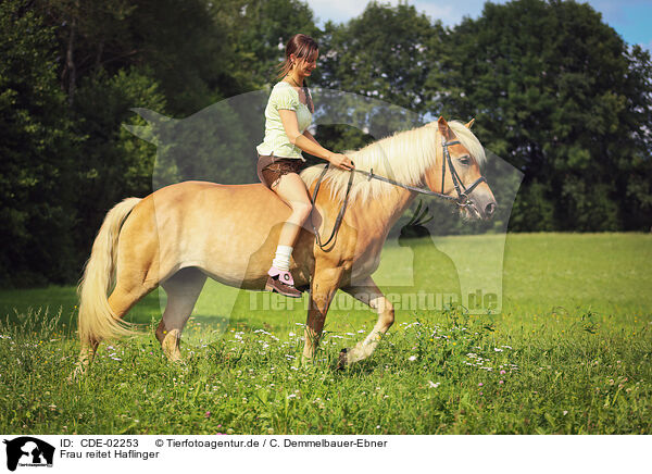 Frau reitet Haflinger / woman rides Haflinger horse / CDE-02253