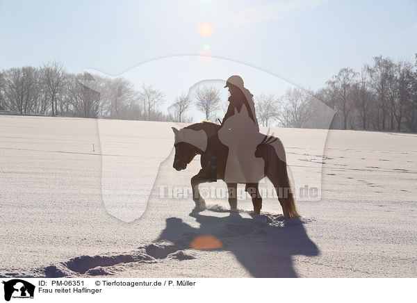 Frau reitet Haflinger / woman rides Haflinger / PM-06351