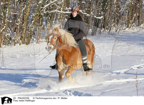 Frau reitet Haflinger / woman rides Haflinger / PM-06356