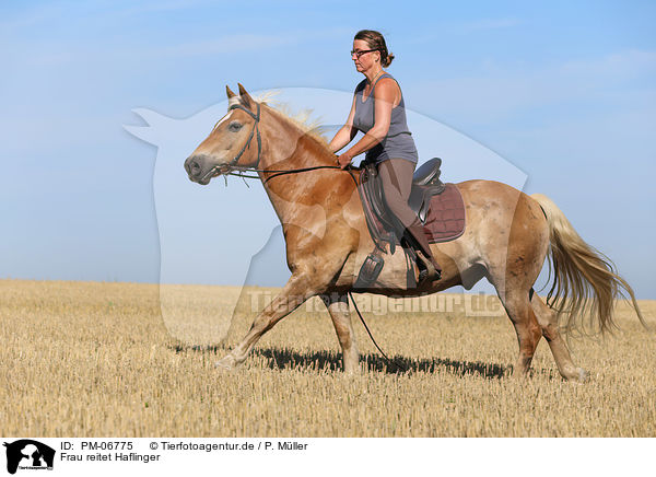 Frau reitet Haflinger / woman rides Haflinger Horse / PM-06775