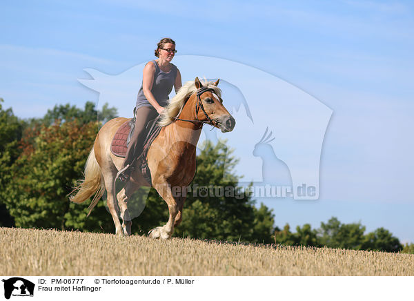 Frau reitet Haflinger / woman rides Haflinger Horse / PM-06777