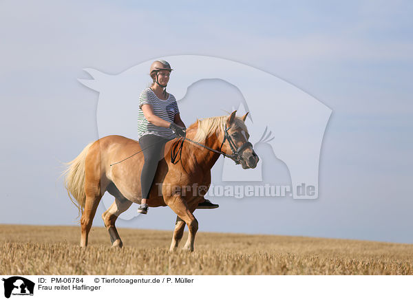 Frau reitet Haflinger / PM-06784