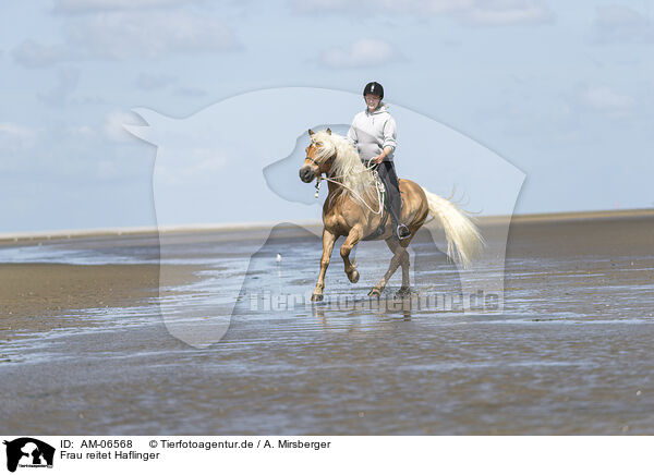 Frau reitet Haflinger / woman rides Haflinger Horse / AM-06568