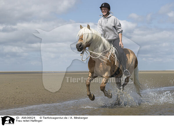 Frau reitet Haflinger / woman rides Haflinger Horse / AM-06624