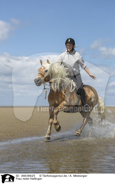 Frau reitet Haflinger / woman rides Haflinger Horse / AM-06625