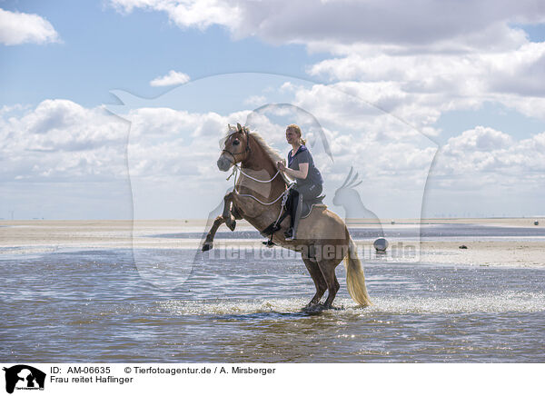 Frau reitet Haflinger / woman rides Haflinger Horse / AM-06635