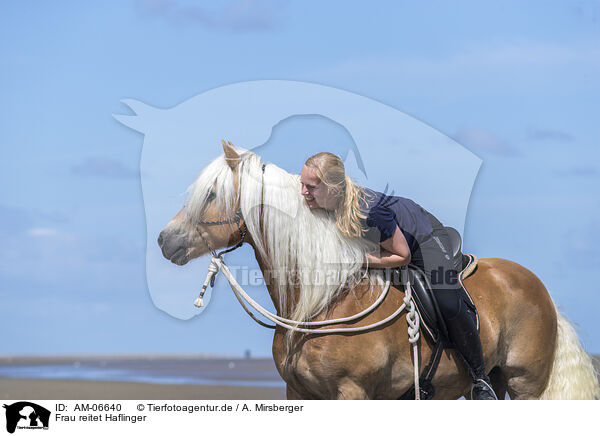 Frau reitet Haflinger / woman rides Haflinger Horse / AM-06640
