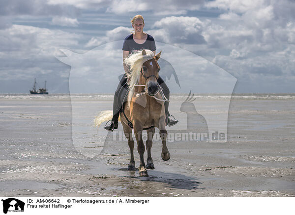 Frau reitet Haflinger / woman rides Haflinger Horse / AM-06642