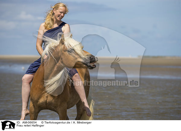 Frau reitet Haflinger / woman rides Haflinger Horse / AM-06654