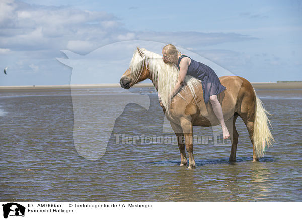 Frau reitet Haflinger / woman rides Haflinger Horse / AM-06655