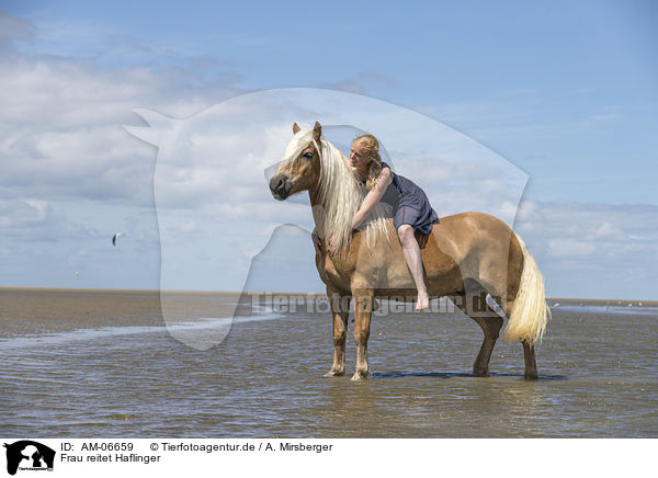 Frau reitet Haflinger / AM-06659