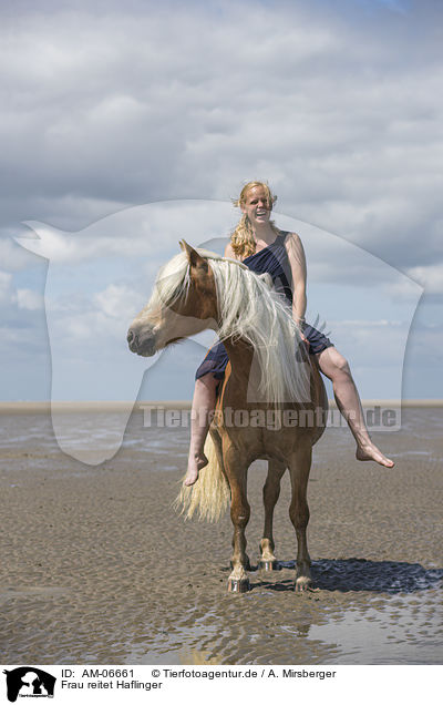 Frau reitet Haflinger / woman rides Haflinger Horse / AM-06661