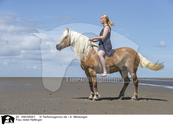Frau reitet Haflinger / woman rides Haflinger Horse / AM-06667
