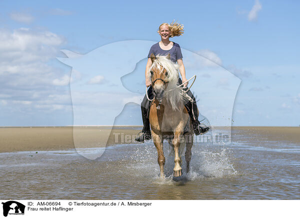 Frau reitet Haflinger / AM-06694