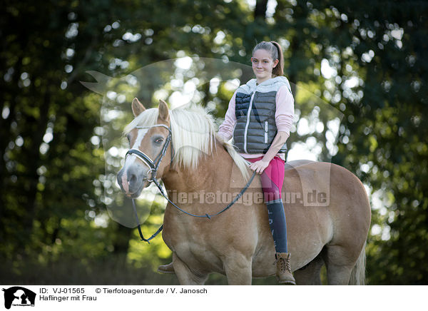 Haflinger mit Frau / Haflinger with woman / VJ-01565