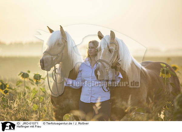 Haflinger mit Frau / Haflinger with a woman / JRO-01071
