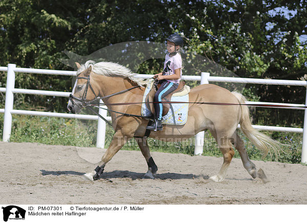 Mdchen reitet Haflinger / girl rides Haflinger / PM-07301