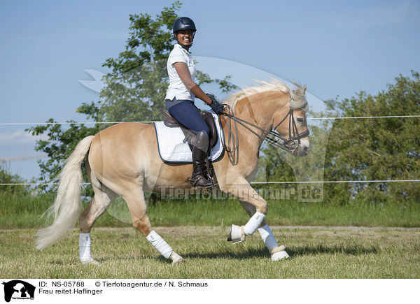 Frau reitet Haflinger / woman rides Haflinger / NS-05788