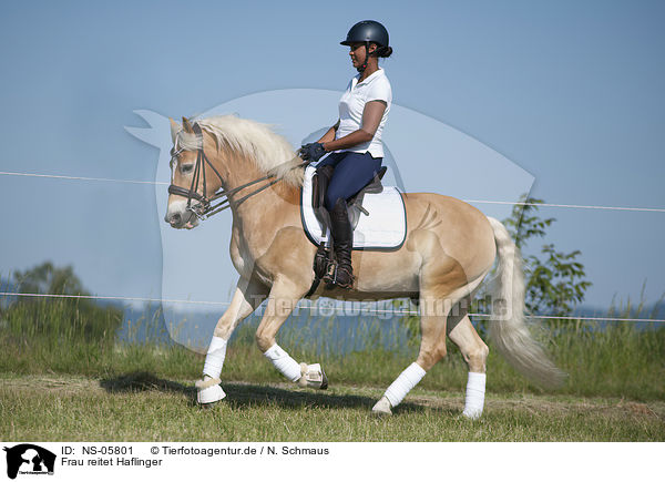 Frau reitet Haflinger / woman rides Haflinger / NS-05801