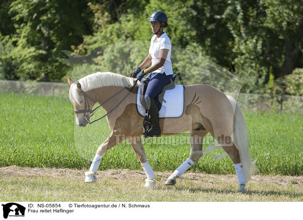Frau reitet Haflinger / woman rides Haflinger / NS-05854