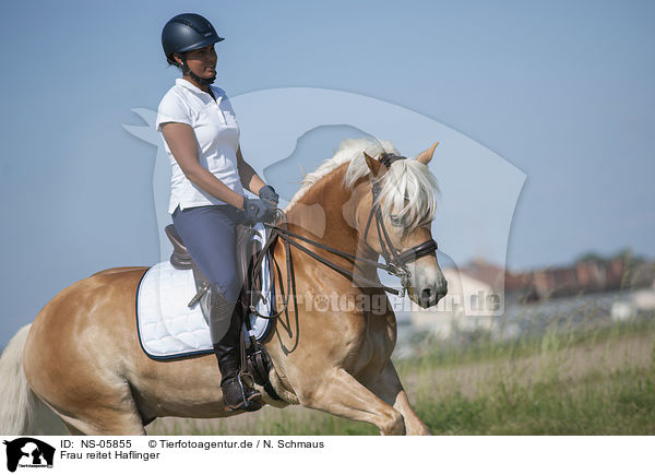Frau reitet Haflinger / woman rides Haflinger / NS-05855