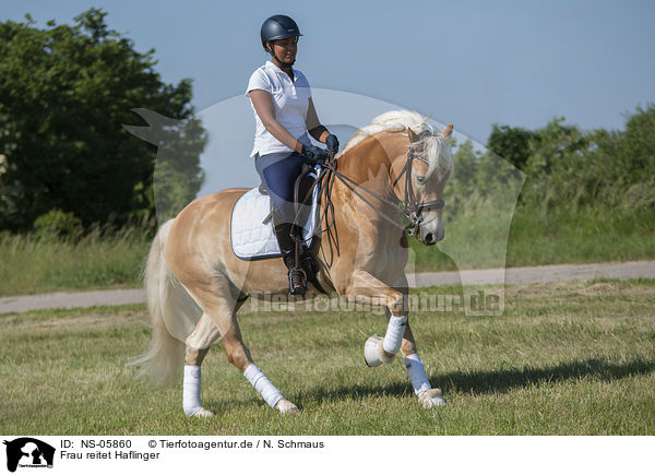 Frau reitet Haflinger / woman rides Haflinger / NS-05860