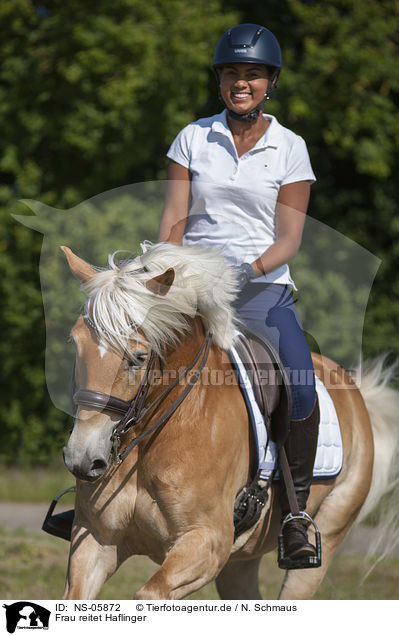 Frau reitet Haflinger / woman rides Haflinger / NS-05872