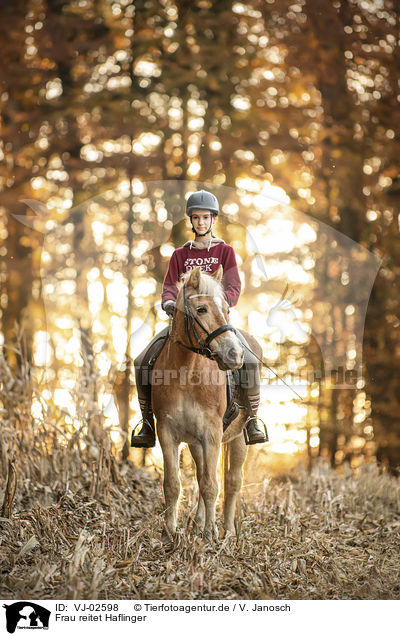 Frau reitet Haflinger / woman rides Haflinger / VJ-02598