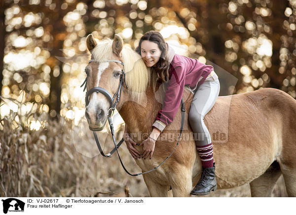 Frau reitet Haflinger / woman rides Haflinger / VJ-02617