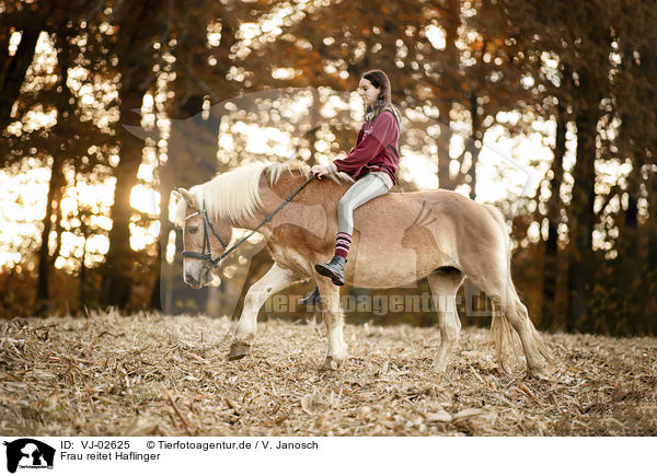 Frau reitet Haflinger / woman rides Haflinger / VJ-02625