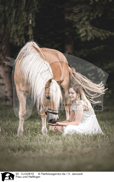 Frau und Haflinger / woman and Haflinger / VJ-02815