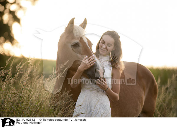 Frau und Haflinger / woman and Haflinger / VJ-02842