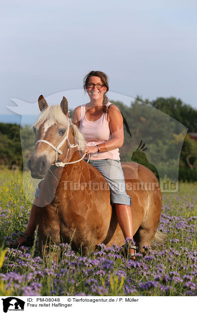 Frau reitet Haflinger / woman rides Haflinger horse / PM-08048