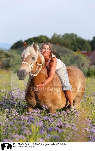 Frau reitet Haflinger / woman rides Haflinger horse / PM-08049