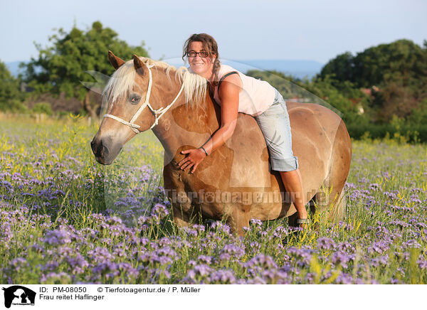 Frau reitet Haflinger / woman rides Haflinger horse / PM-08050