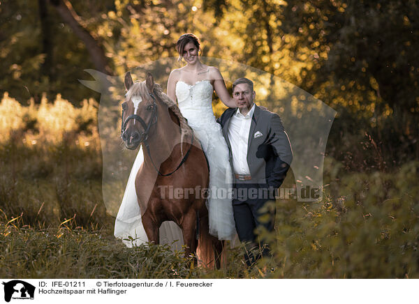 Hochzeitspaar mit Haflinger / bridal couple with Haflinger horse / IFE-01211