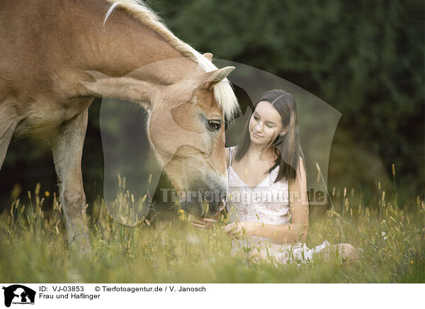 Frau und Haflinger / woman and Haflinger horse / VJ-03853