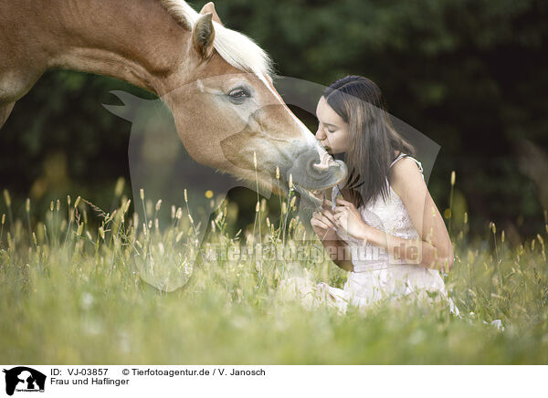 Frau und Haflinger / VJ-03857