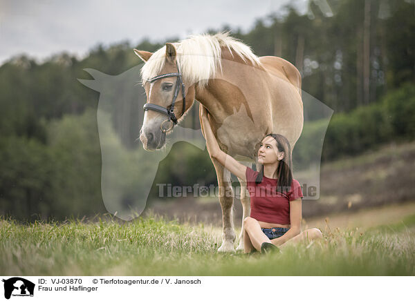 Frau und Haflinger / VJ-03870