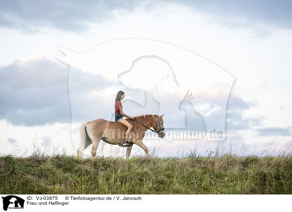 Frau und Haflinger / woman and Haflinger horse / VJ-03875
