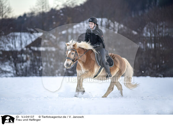Frau und Haflinger / woman and Haflinger horse / VJ-04137