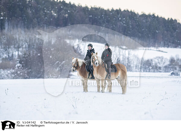 Reiter mit Haflingern / riders with Haflinger horses / VJ-04142