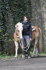 Frau und Haflinger