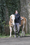 Frau und Haflinger