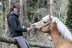 Frau und Haflinger