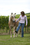 Frau mit Haflinger