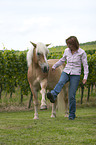 Frau mit Haflinger