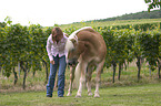 Frau mit Haflinger